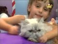 Kids And Pets Gatos BabyTV