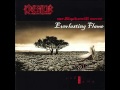 Everlasting Flame (баян cover Kreator) 