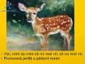 Moartea caprioarei / versuri Nicolae Labis (Death ...