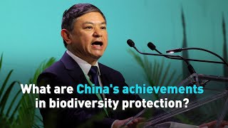 What are China's achievements in biodiversity protection?