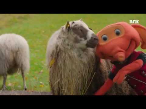 Fantorangen - Bæ bæ lille lam