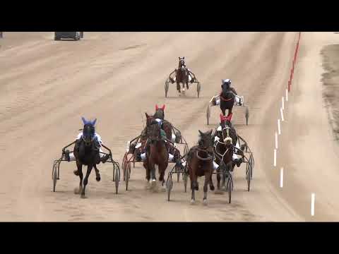 2022.03.05. 02. futam - DELMAR DÍJ