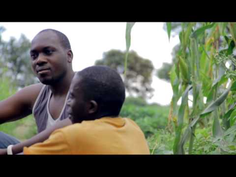 Musiye Ayende - Dalisoul ft. Armstrong & Afunika