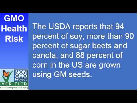 GMO Health Risk