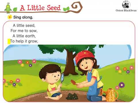 ANIMATION T1 UKG GA A LITTLE SEED FINAL