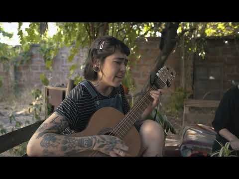 Malezas - Amapola