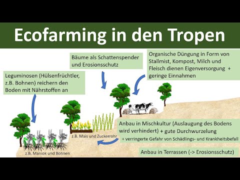 Ecofarming in the Tropics [Geography, Middle and High School]