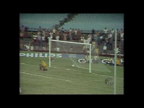 Botafogo 1 x 1 Guarani - 1978
