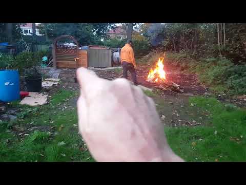 Allotment  escapades!!! Letter from the council !!!