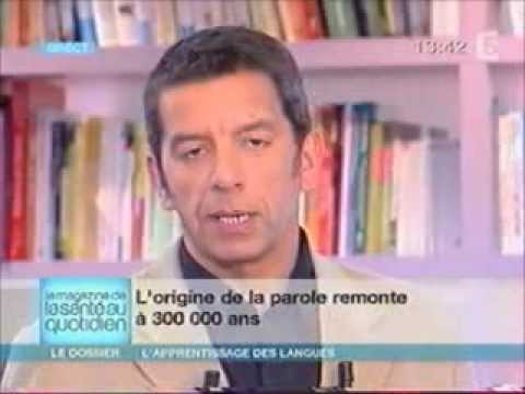 comment augmenter son hippocampe