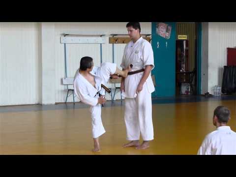 Shihan Masao Kagawa High kick -  "This is basic..." :)