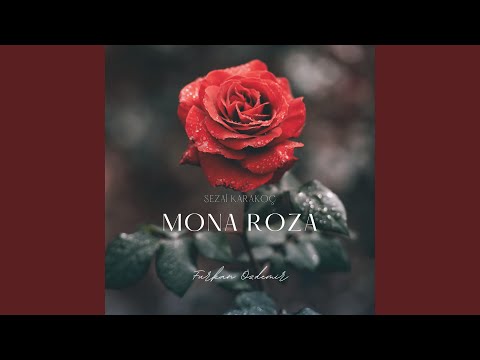 Mona Roza (Old Record)