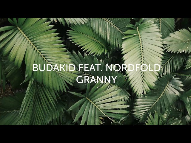Budakid Feat. Nordfold - Granny