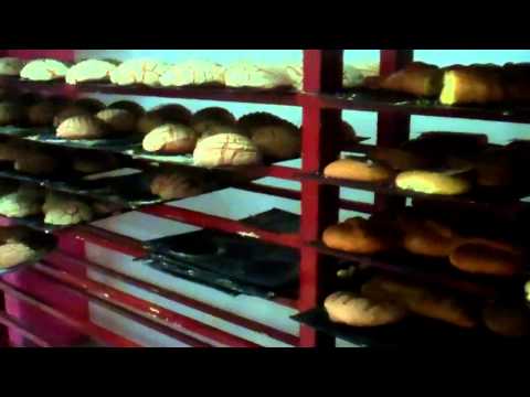 download lagu mp3 mp4 Mexican Bread Store Near Me, download lagu Mexican Bread Store Near Me gratis, unduh video klip Mexican Bread Store Near Me