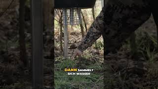 Rehschutzkorb: Futter für Piepmätze! #shorts