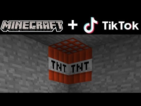 Minecraft TikTok Compilation 12!