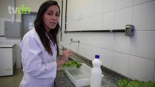 Miniatura do vídeo