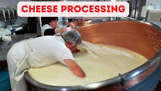 Incredible Inside Cheese Making Factory Plant- Steps How Cheese is Made and Produce Like a Pro!