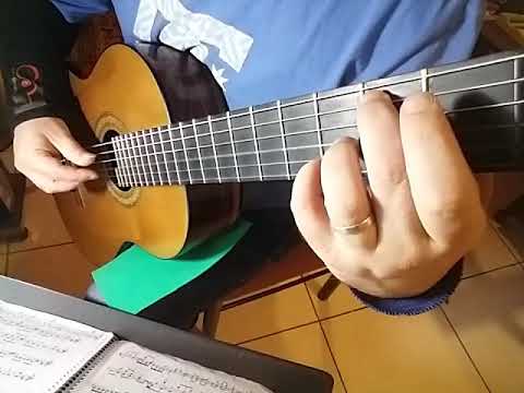 No 1 - (Andante) - 24 LECONS PROGRESSIVES - Fernando Sor, Op. 31 (1778 - 1839)