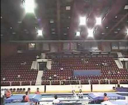 Yasuhiro UEYAMA - Trampoline