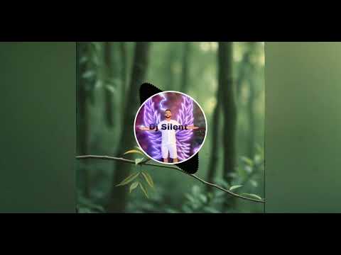 Dj SILENT - Cântă Cucu' În Cuța