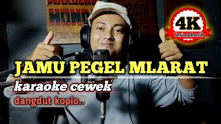 Download lagu Jamu pegel mlarat - karaoke tanpa vokal cewek dangdut koplo mp3