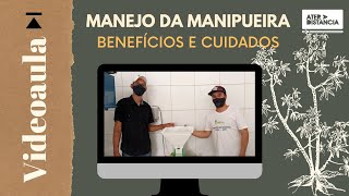 Manejo da Manipueira: Benefícios e Cuidados - videoaula [Ater a distância]