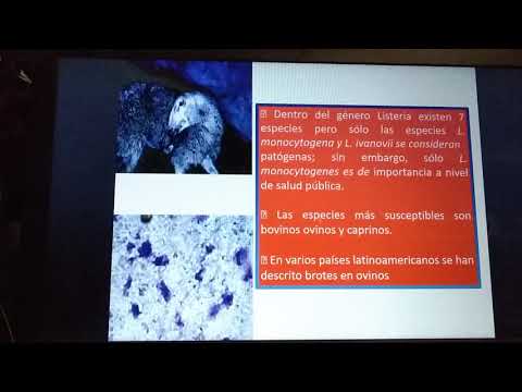 , title : 'Bacteriología: Listeriosis bacteria intracelular'