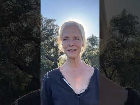 Dauerfunktionieren verhindert Neuanfang #lebendigkeit