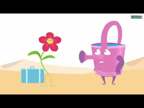 le developpement des vegetaux les conditions de developpement
