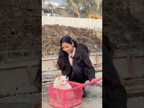 Simran found a strange 🐱😈😱|SimranMakhija| #shorts #school #schoollife #sad #horror #love