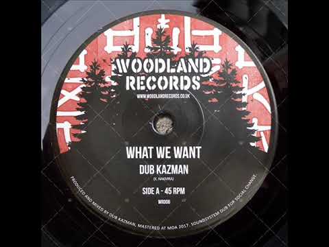 Dub Kazman ‎– What We Want (7''45RPM)