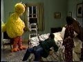 Sesame Street Big Bird Causes Accidents