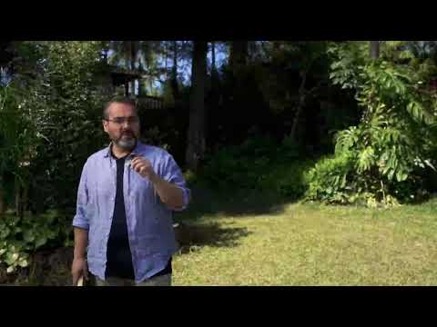 LA MALDAD TENDRÁ FIN (Génesis 6:5)