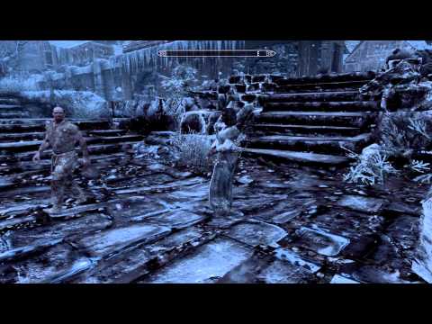 Inconsequential NPCs - Windhelm Gate Guard Imperial Harrassment