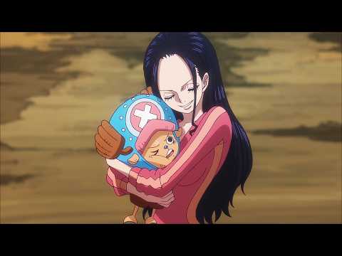 Robin and Chopper being Adorable Together for 12 Minutes