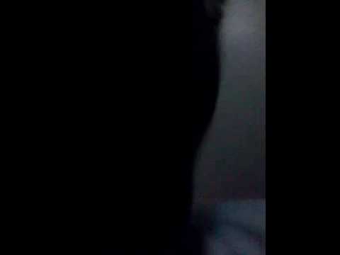 Música  de  Davi e Neto