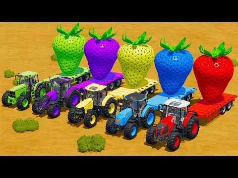 CLAAS vs McCORMICK vs CASE vs VALTRA vs JOHN DERRE TRACTORS BATTLE WIH STRAWBARRYS - Farming Simulat