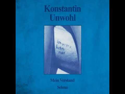 Konstantin Unwohl - Mein Verstand