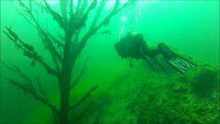 preview picture of video 'Gilboa Quarry Scuba Dive to 60 ft deep'