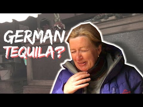 Best beerhouse in Munich 2019! | Augustiner Keller