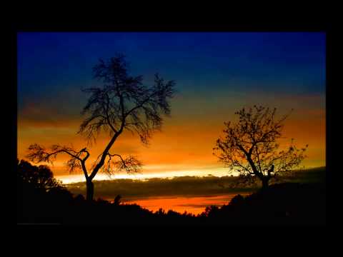 Temple of the most high Dub ( Gecko Walk Riddim )