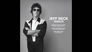 Jeff Beck - Elegy for Dunkirk (feat. Olivia Safe) (Live)