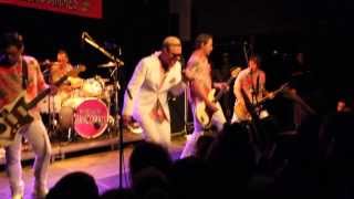 I Will Survive - Me First and the Gimme Gimmes