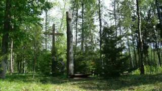 preview picture of video '1952 metų  Lietuvos partizanų bunkeris Gulbino miške 2009-05-24.'