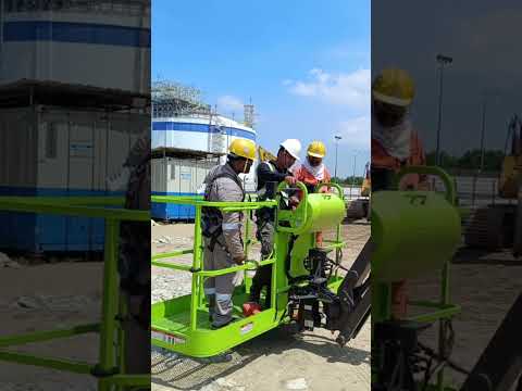 Meow Meow Meow 😸 妙妙妙👍🏻