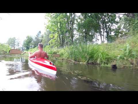 Dzika Rządza [HD] 2018