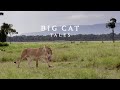 Big Cat Tales Season 2 Trailer