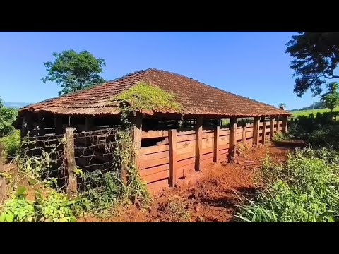 No taquaril de Claraval, minas gerais 
