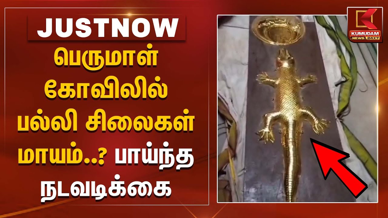 பெருமாள் கோவிலில் பல்லி சிலைகள் மாயம்.. பாய்ந்த நடவடிக்கை | Kanchipuram | Temple | Gold Statue